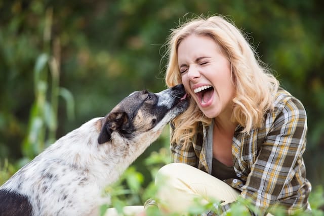 Chien affectueux léchant doucement la joue d'une femme souriante.