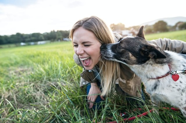 Femme recevant une léchouille amicale de son chien sur sa joue.